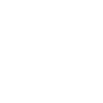 Logo MNESYS